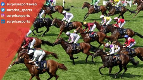 what is an omni bet in horse racing